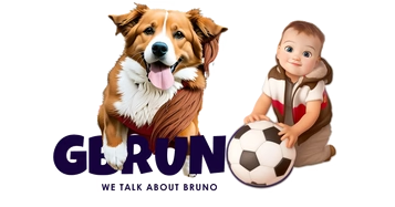 Gbruno Store
